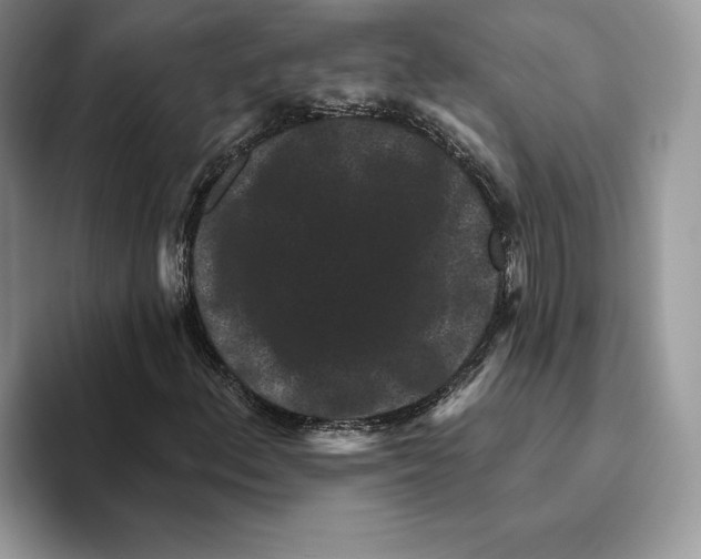 X0000093481156200711091621