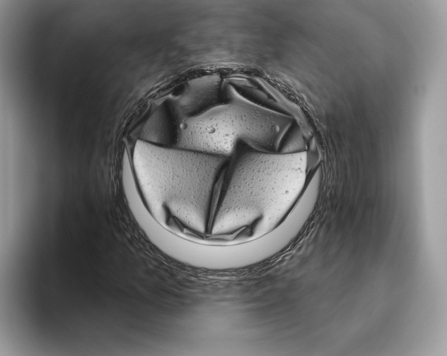 X0000093481157200711091621