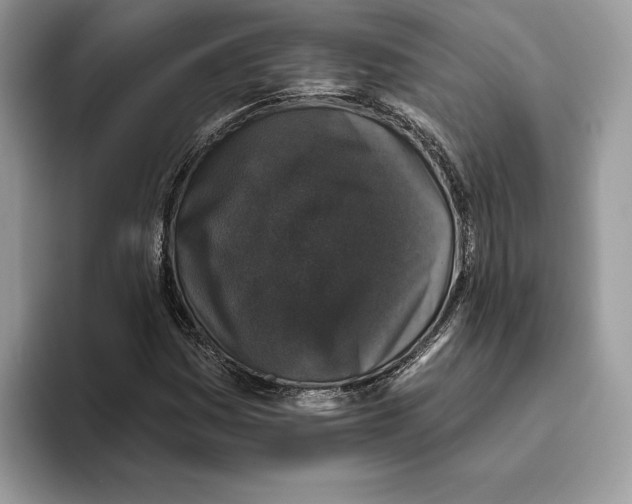 X0000093481161200711091621