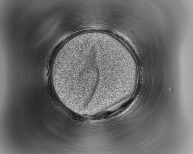 X0000093481163200711091621