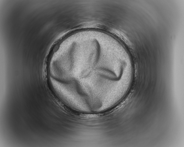 X0000093481164200711091621