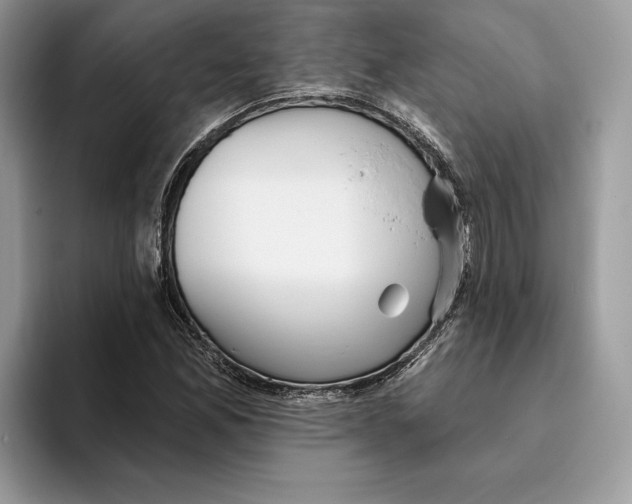 X0000093481165200711091621