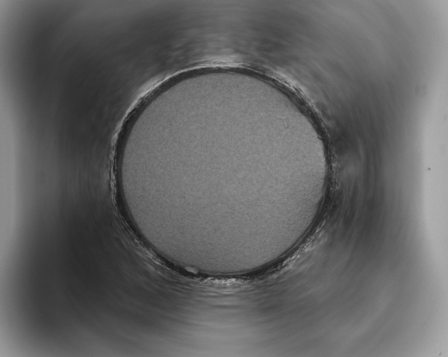 X0000093481168200711091621