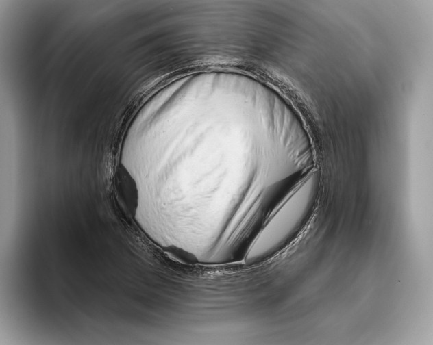 X0000093481169200711091621