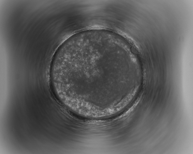 X0000093481170200711091621