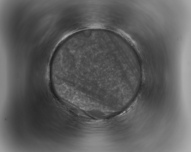 X0000093481174200711091621