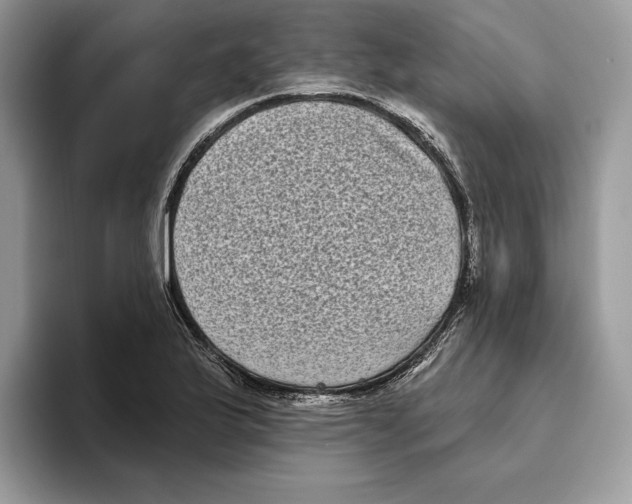 X0000093481175200711091621