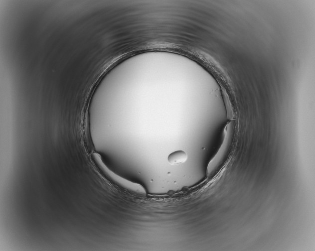 X0000093481177200711091621