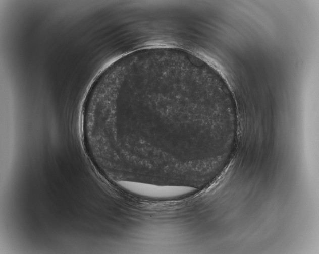 X0000093481179200711091621