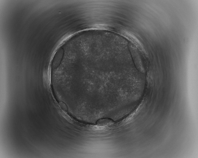 X0000093481180200711091621