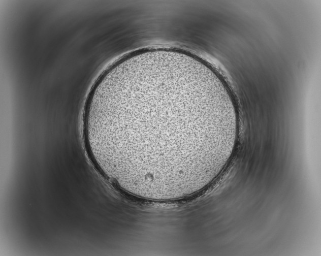 X0000093481183200711091621