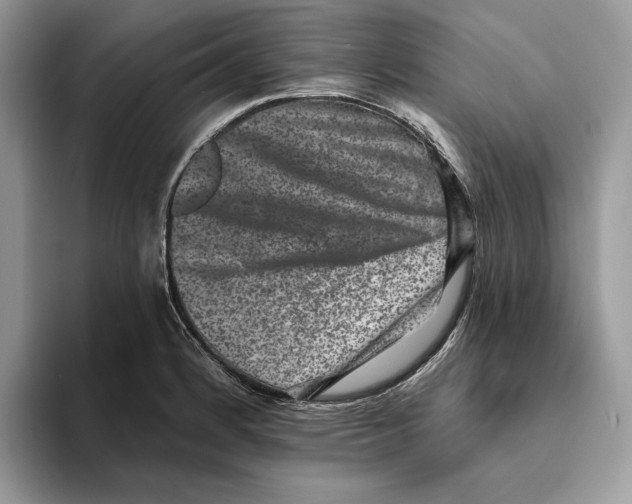 X0000093481184200711091621