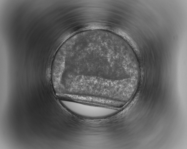 X0000093481185200711091621