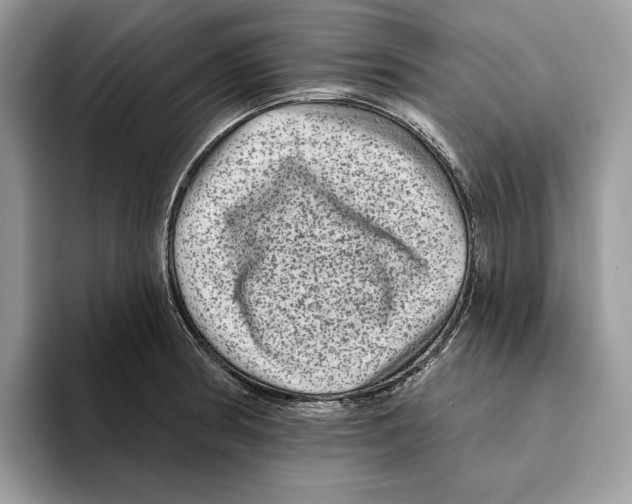 X0000093481186200711091621