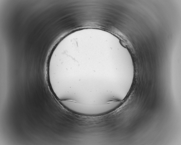 X0000093481188200711091621