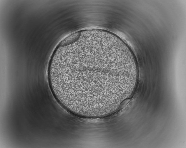 X0000093481189200711091621