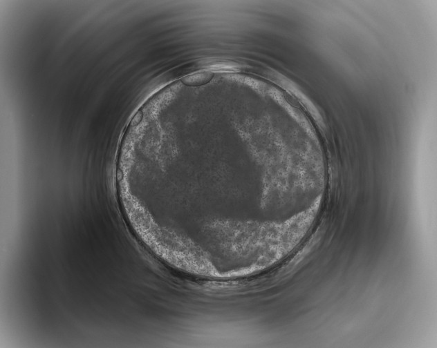 X0000093481194200711091620