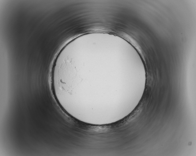 X0000093481195200711091620