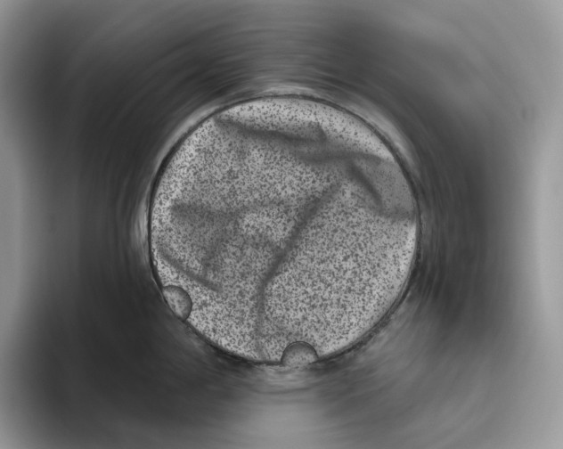 X0000093481198200711091620