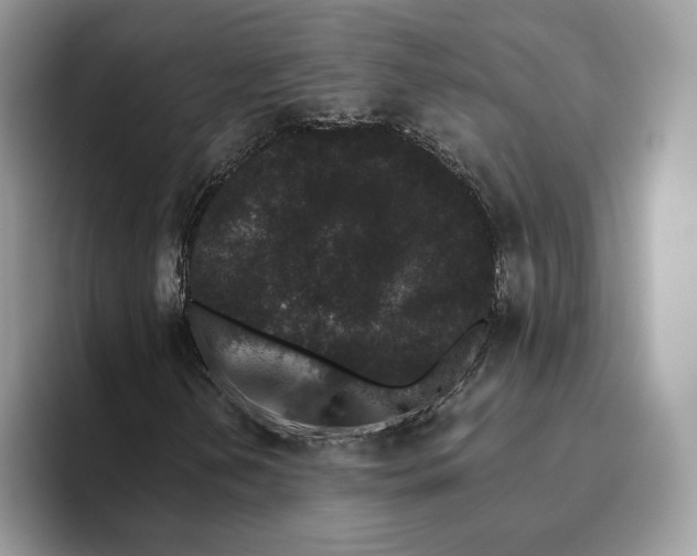 X0000093481202200711091620