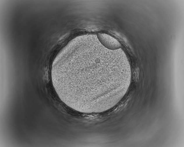 X0000093481205200711091620