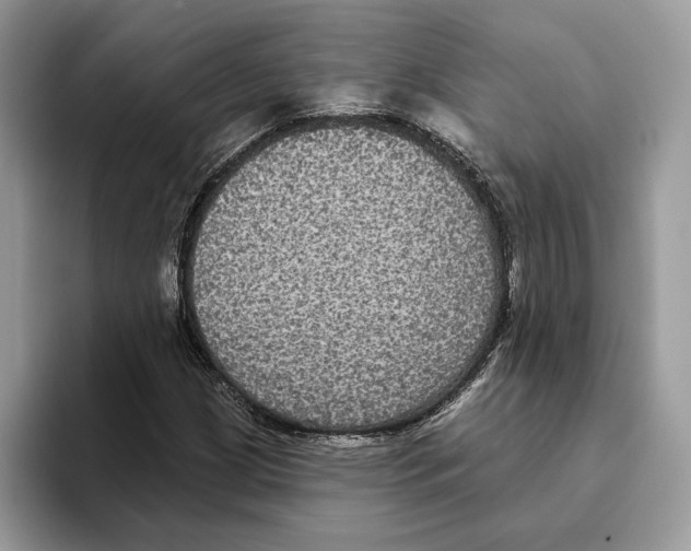 X0000093481209200711091620