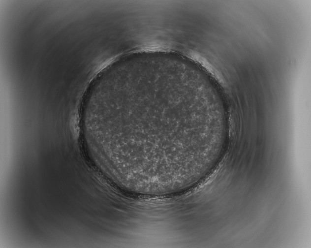X0000093481213200711091620