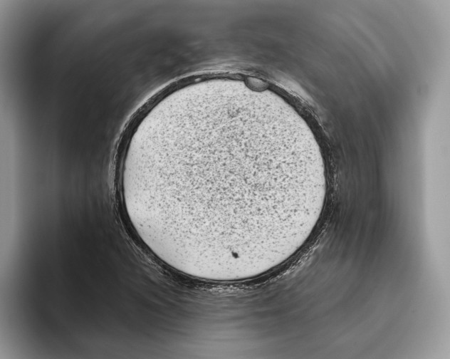 X0000093481216200711091620