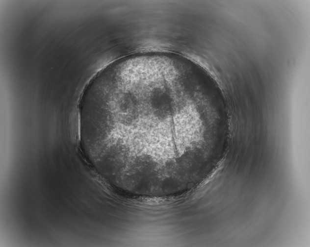 X0000093481219200711091620