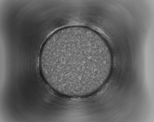 X0000093481220200711091620