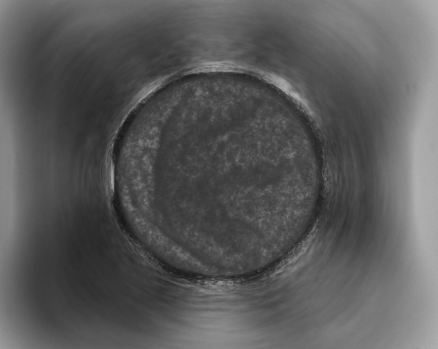 X0000093481221200711091620