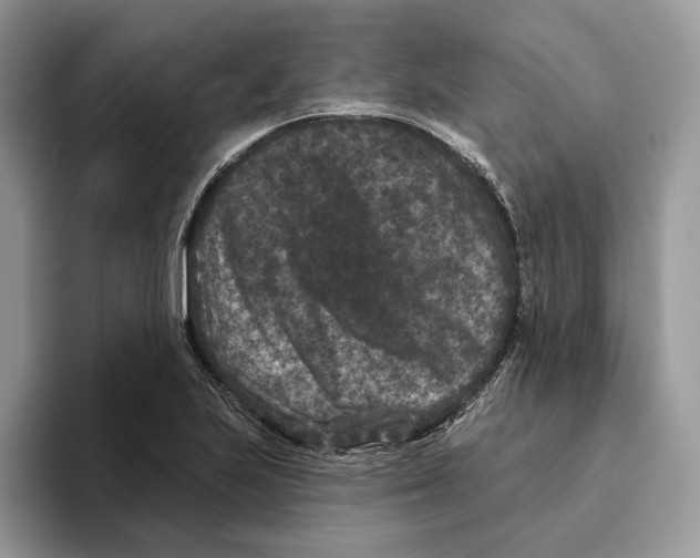 X0000093481223200711091620