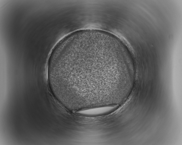 X0000093481224200711091620