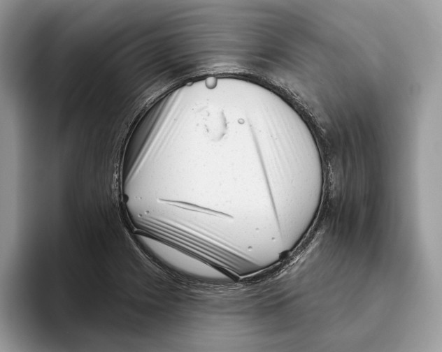 X0000093481225200711091620