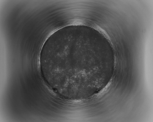 X0000093481226200711091620