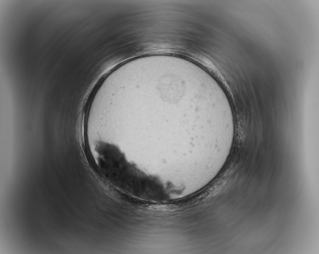 X0000093481227200711091620