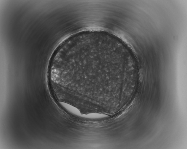 X0000093481229200711091620