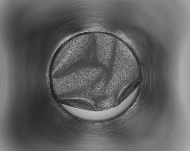 X0000093481230200711091620