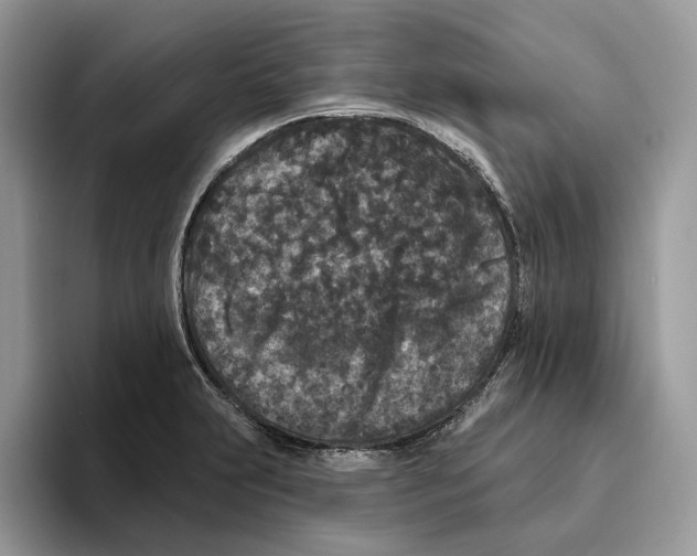 X0000093481231200711091620