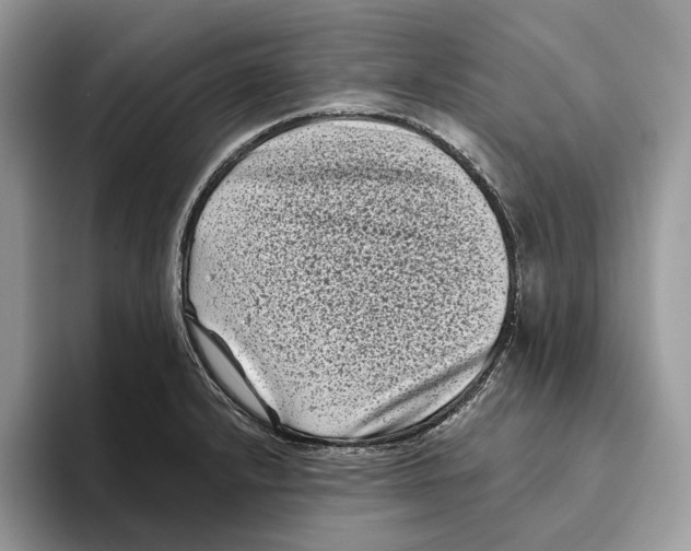 X0000093481232200711091620