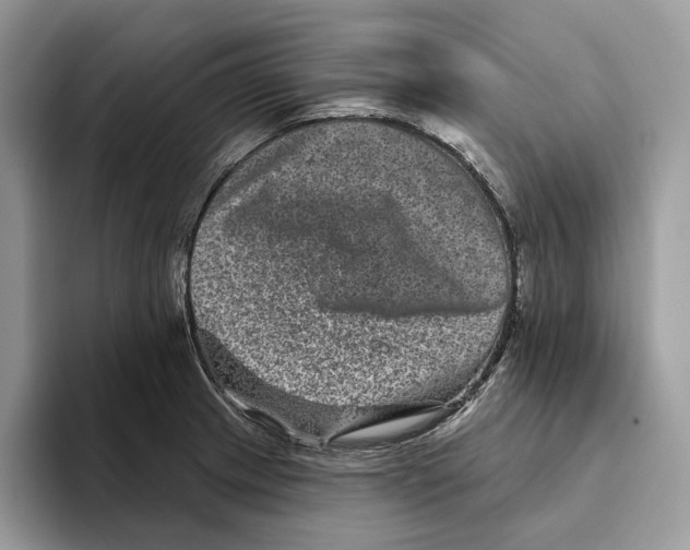 X0000093481233200711091620