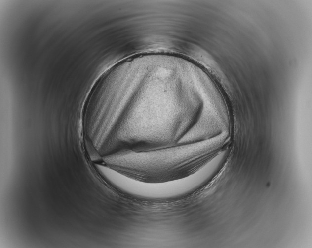 X0000093481234200711091620