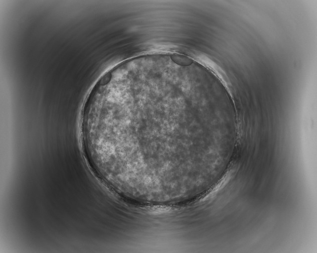 X0000093481235200711091620