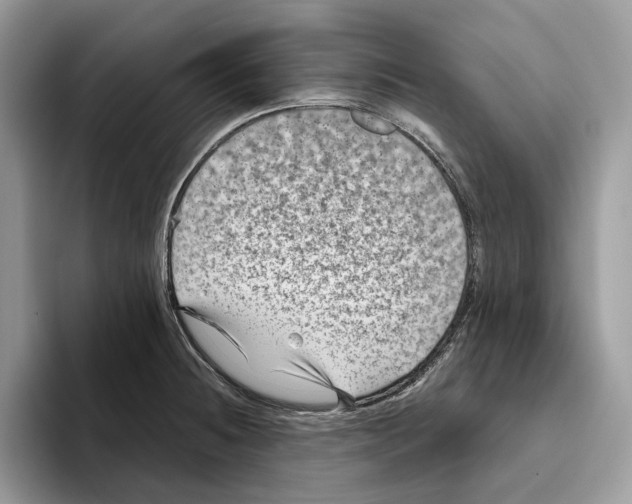 X0000093481236200711091620