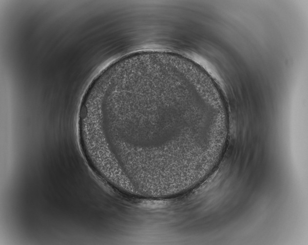 X0000093481237200711091620