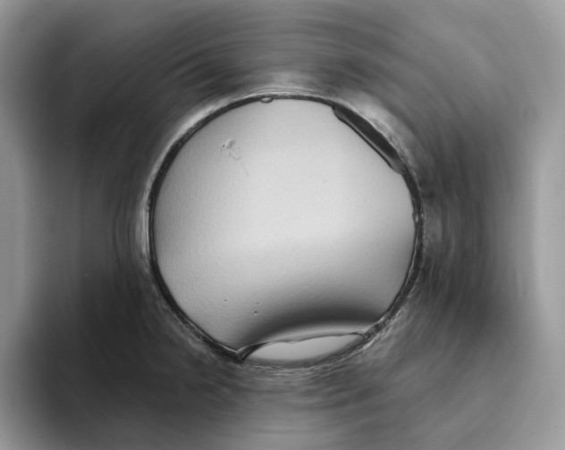 X0000093481238200711091620