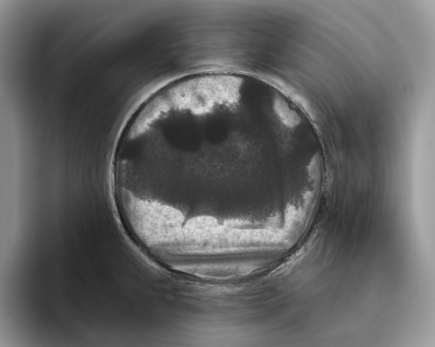 X0000093481239200711091620