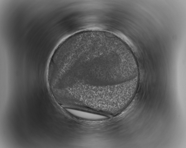 X0000093481240200711091620