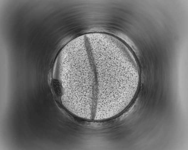 X0000093481241200711091620