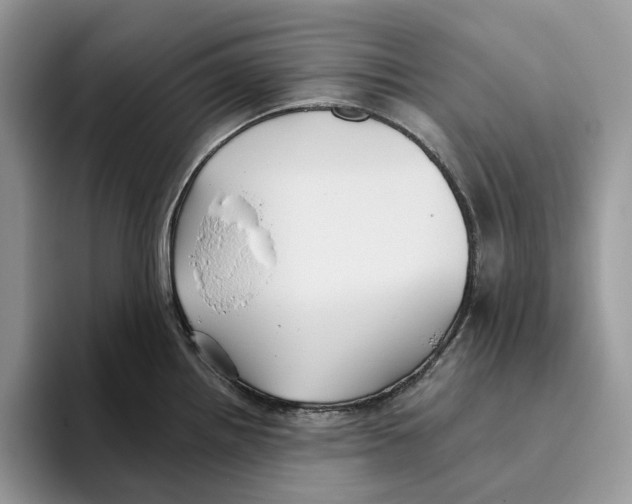 X0000093481242200711091620